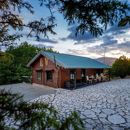 Chalet Likouresi Village Karpenisi Luaran gambar
