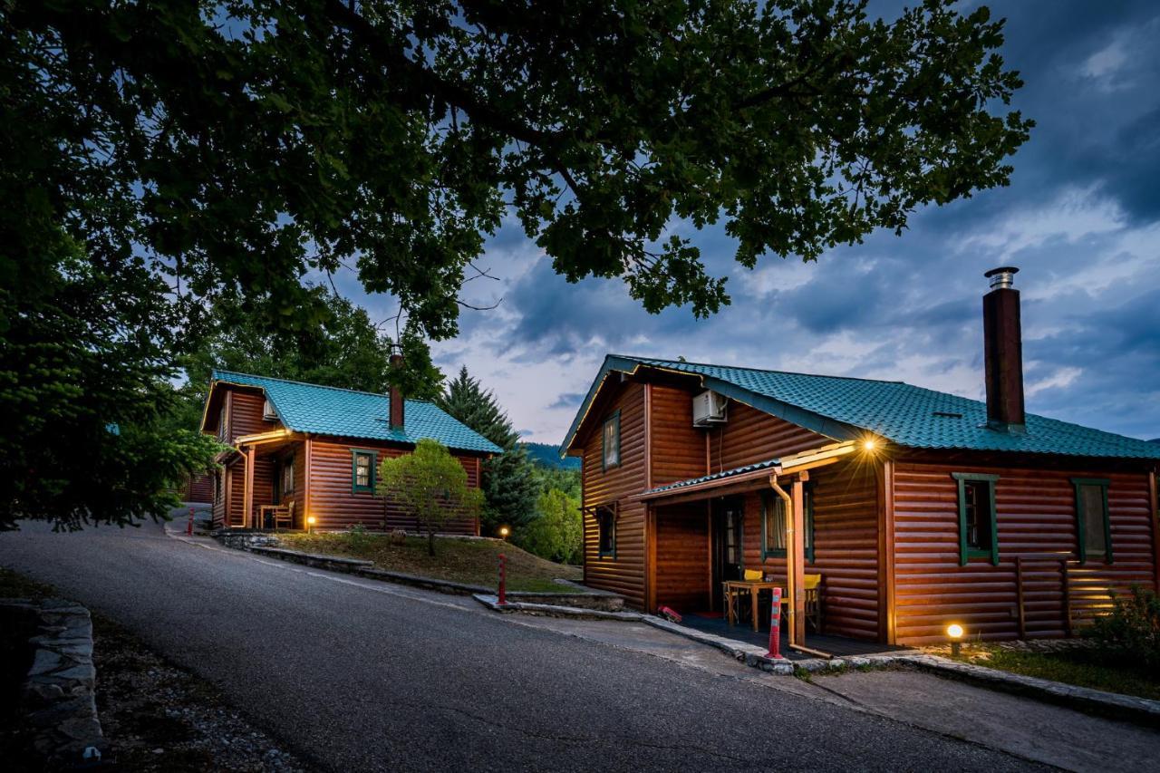 Chalet Likouresi Village Karpenisi Luaran gambar