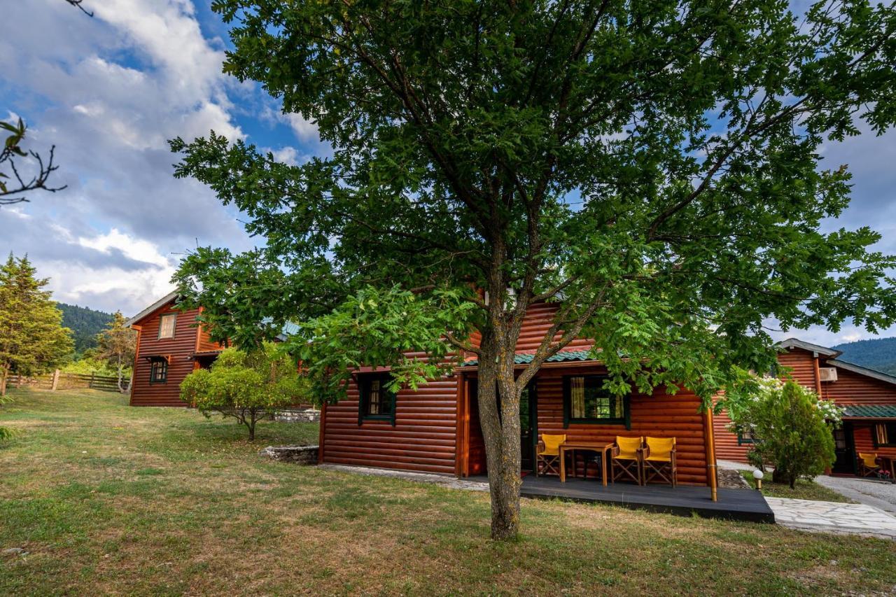 Chalet Likouresi Village Karpenisi Luaran gambar